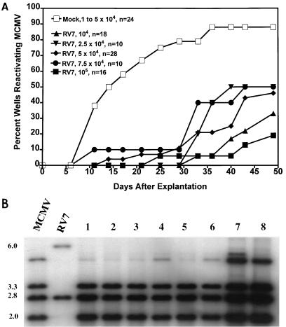 FIG. 8