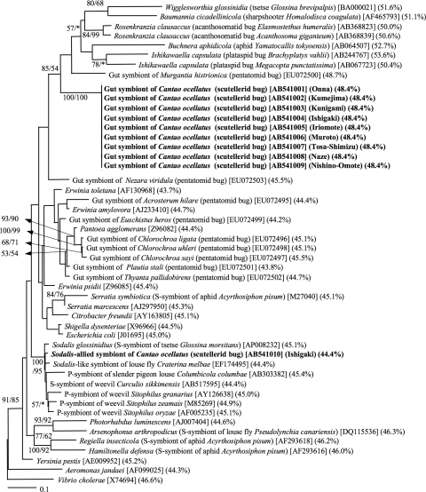 FIG. 2.