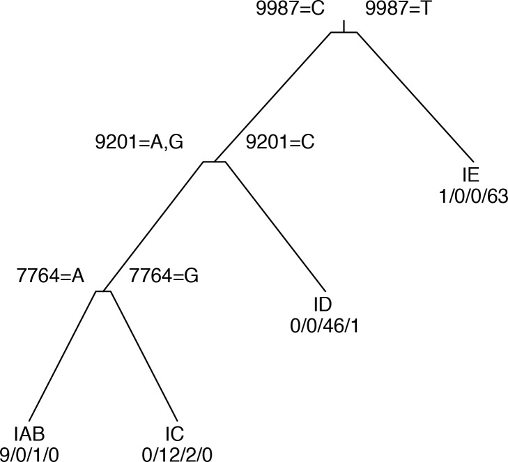 Fig 2