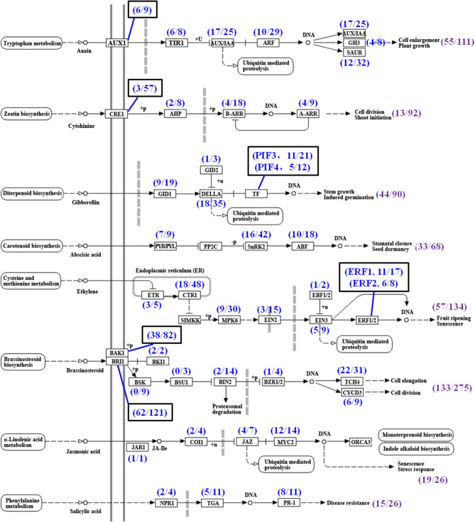 Figure 9