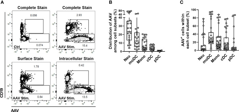 Figure 1