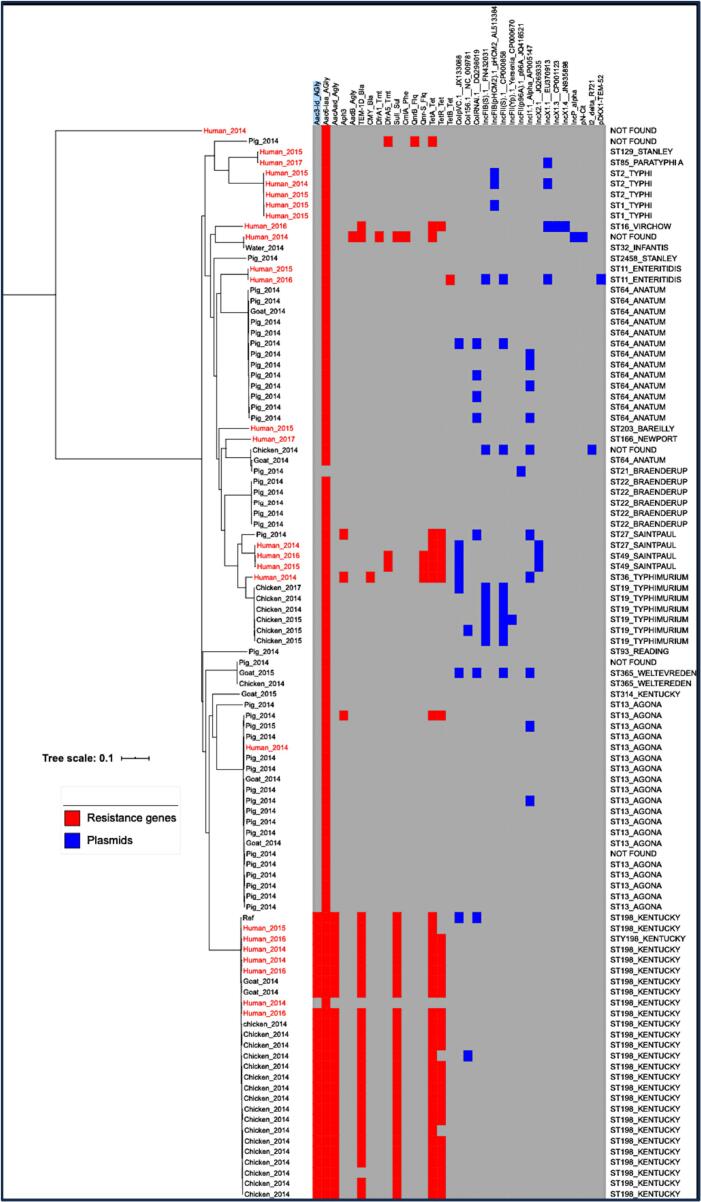 Fig. 2