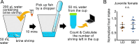 Figure 4—figure supplement 1.