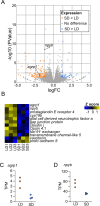Figure 1—figure supplement 2.