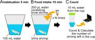 Figure 1—figure supplement 1.
