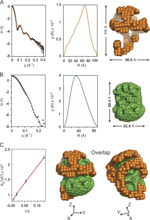 FIGURE 1.