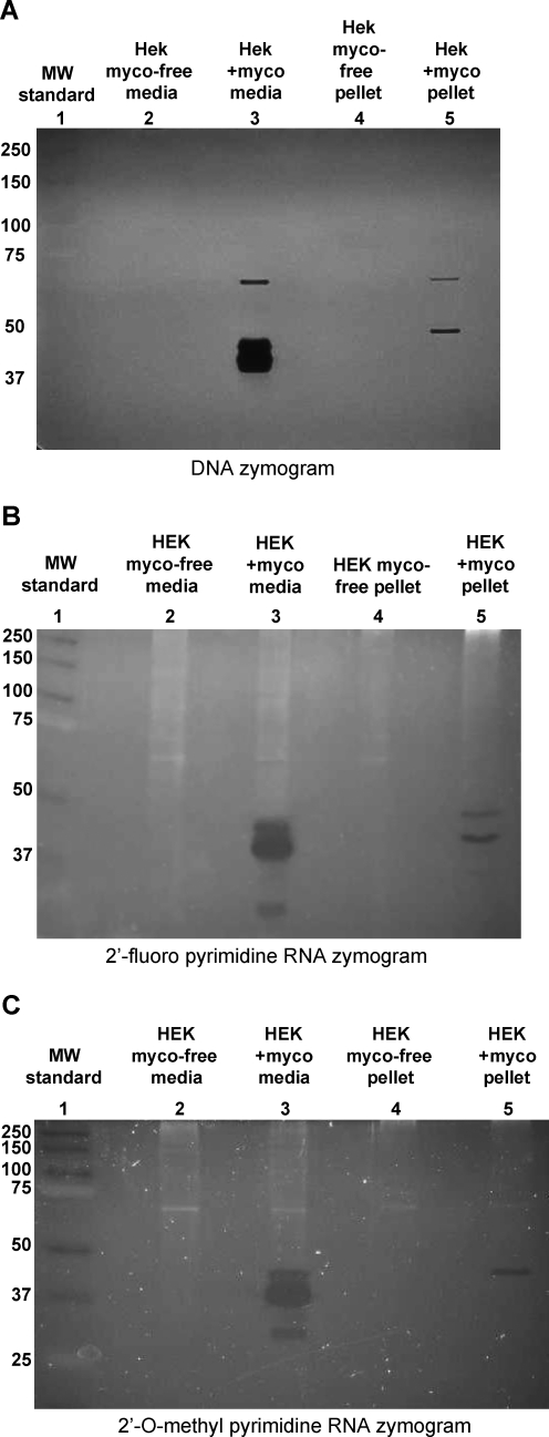 FIG. 6.