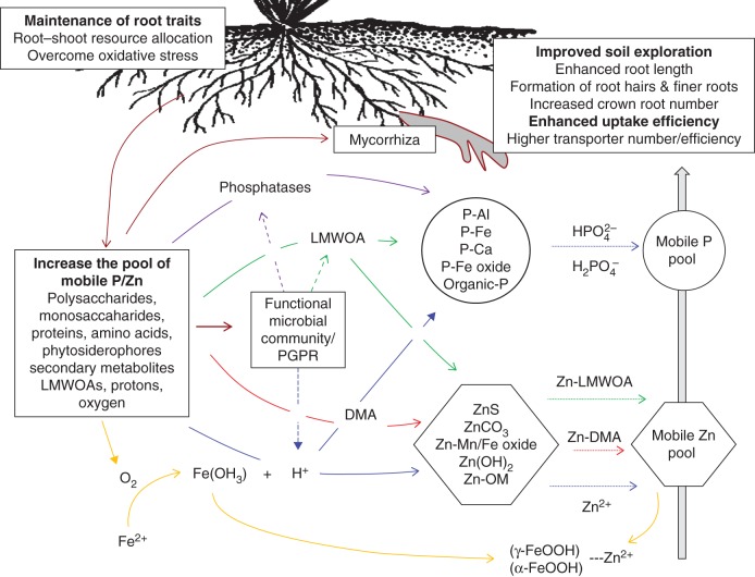 Fig. 1.