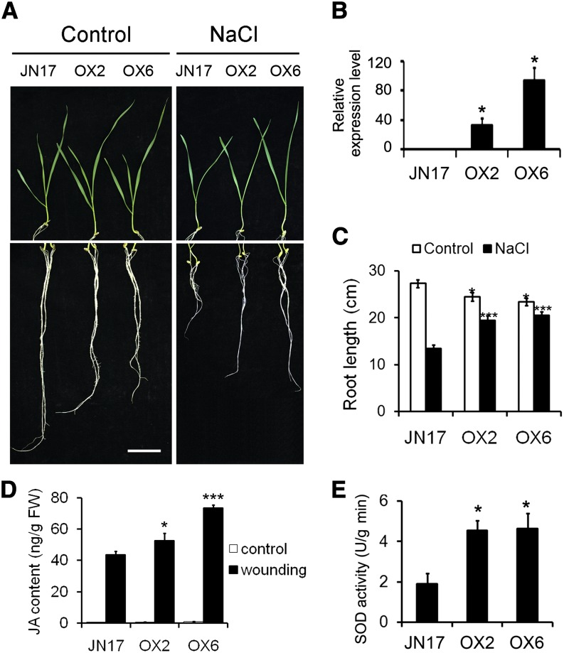 Figure 2.