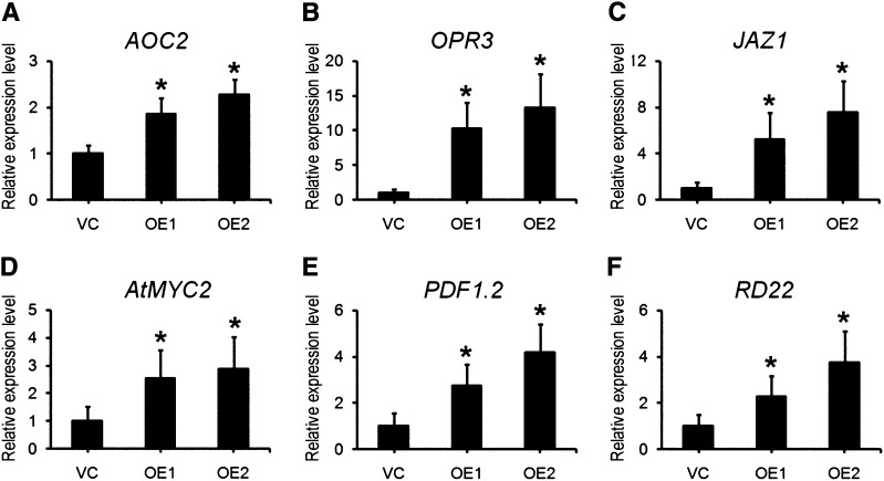 Figure 6.