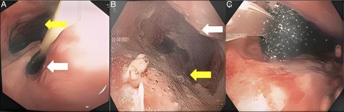 Figure 3.