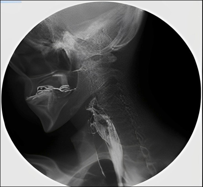 Figure 5.