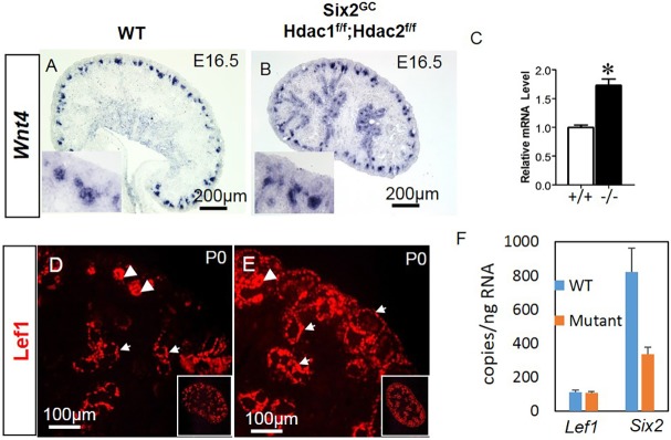 Fig. 10.