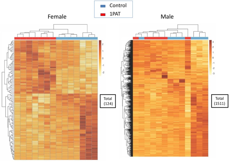 Figure 4—figure supplement 2.