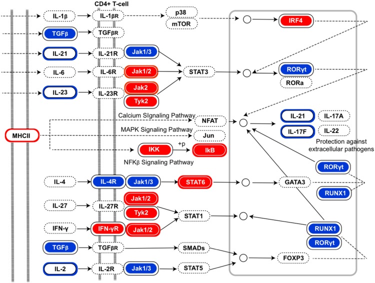 Figure 5—figure supplement 3.