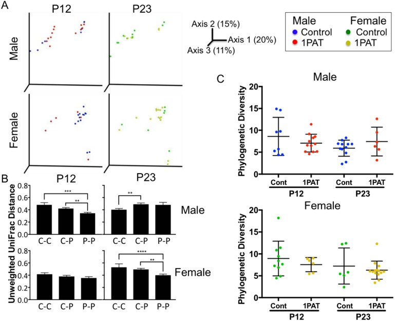 Figure 2—figure supplement 4.