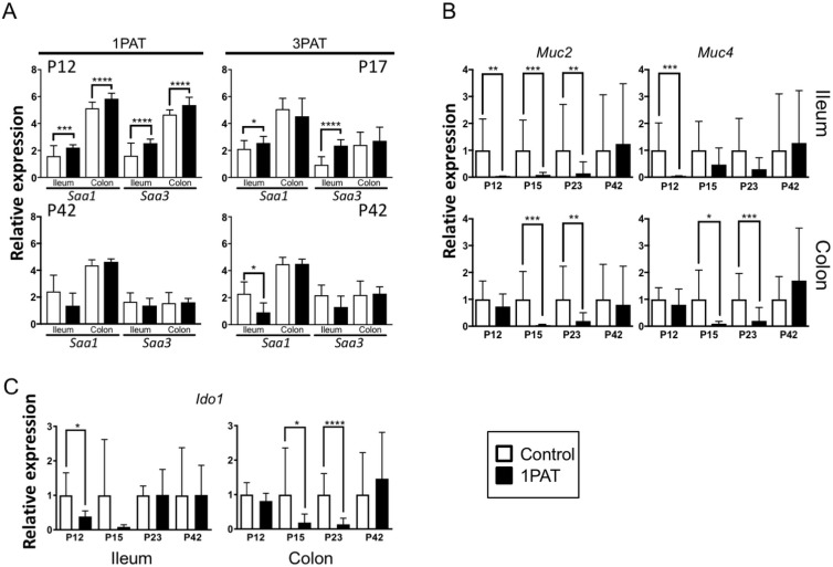 Figure 6—figure supplement 1.