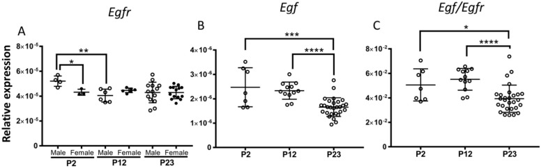 Figure 6—figure supplement 3.