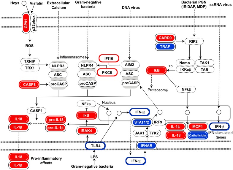 Figure 5—figure supplement 2.