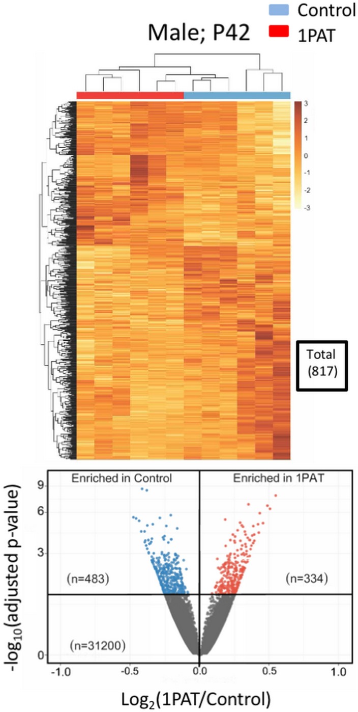 Figure 4—figure supplement 3.