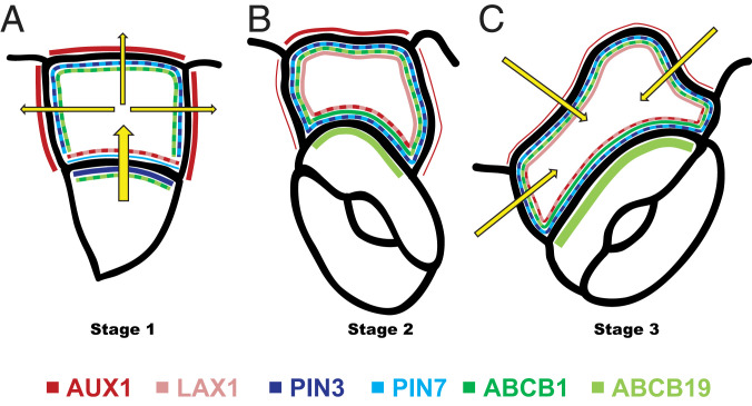 Fig. 5.