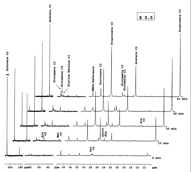 FIG. 1