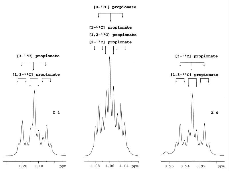 FIG. 7