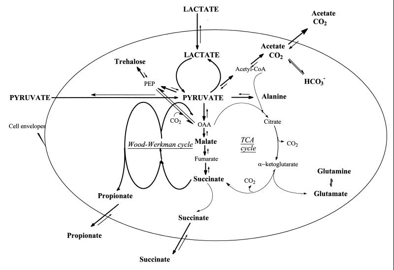 FIG. 8