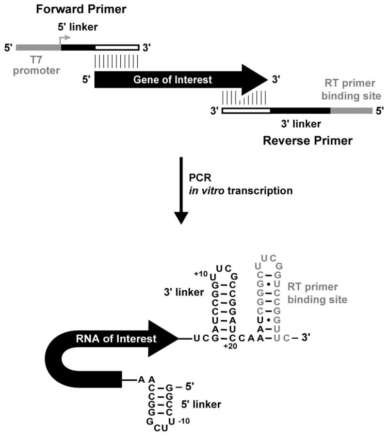 Figure 4.1