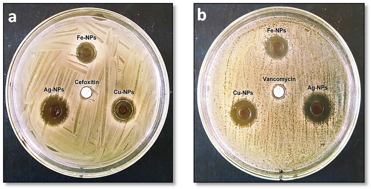 Fig 6