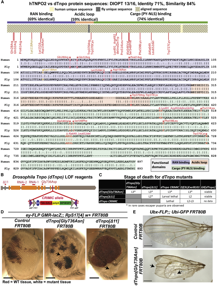 Figure 2