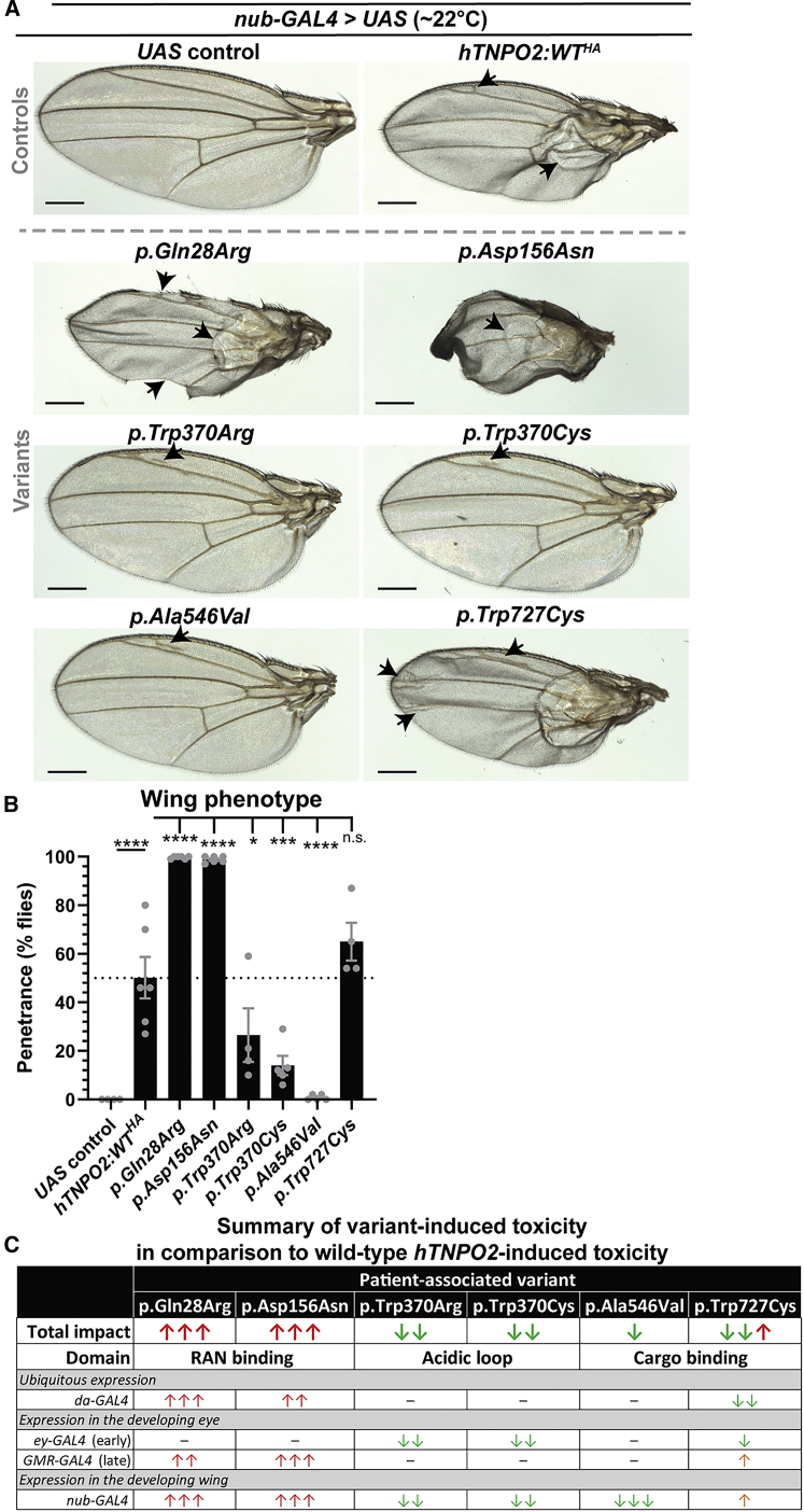 Figure 7