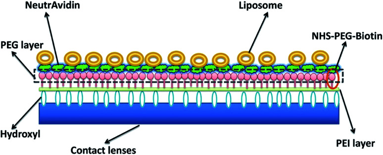 Fig. 11