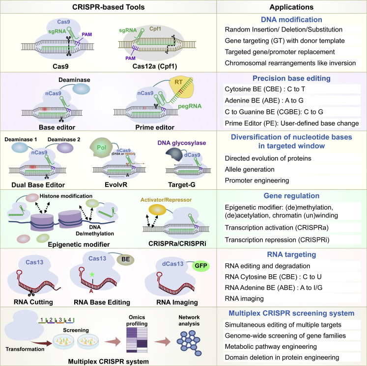 Figure 4