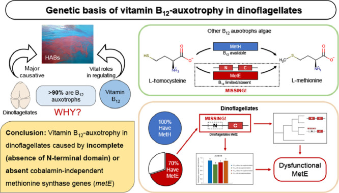 Image, graphical abstract