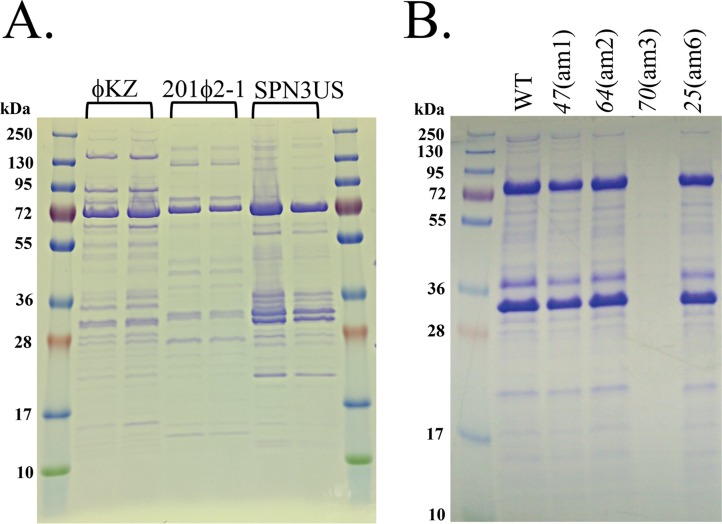 FIG 2