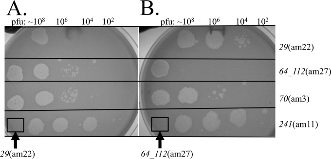 FIG 3