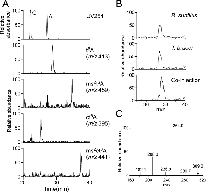 Figure 6.