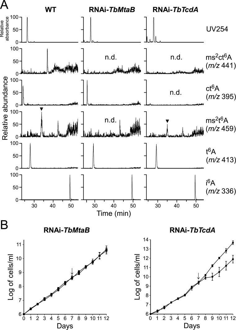 Figure 7.