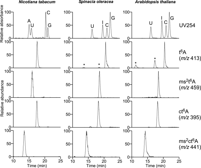 Figure 5.