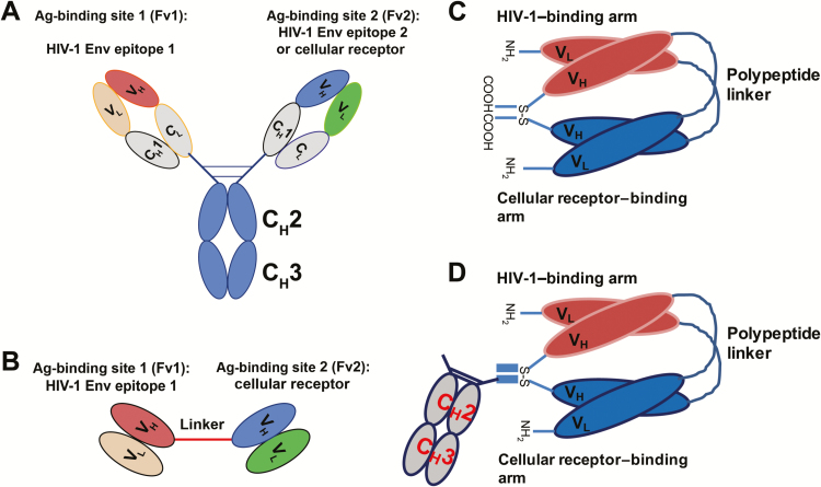 Figure 2.