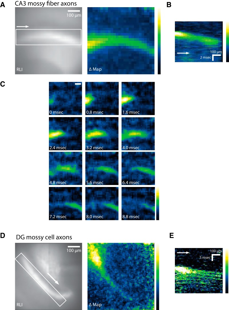 Figure 3.