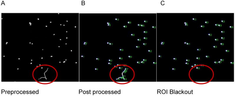 Figure 11