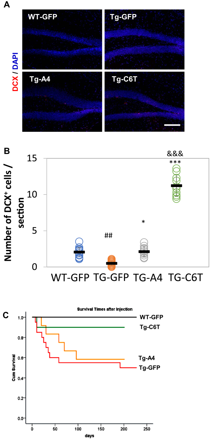 Figure 6