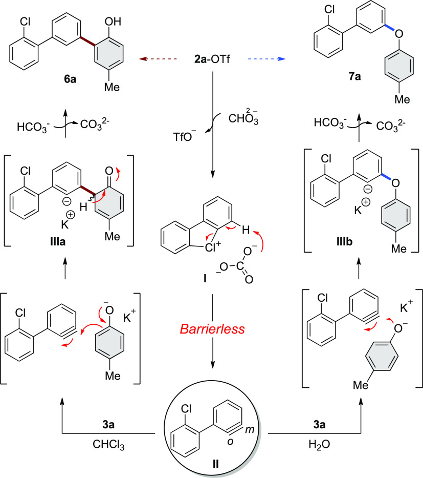 Scheme 7