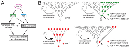 Fig. 8.