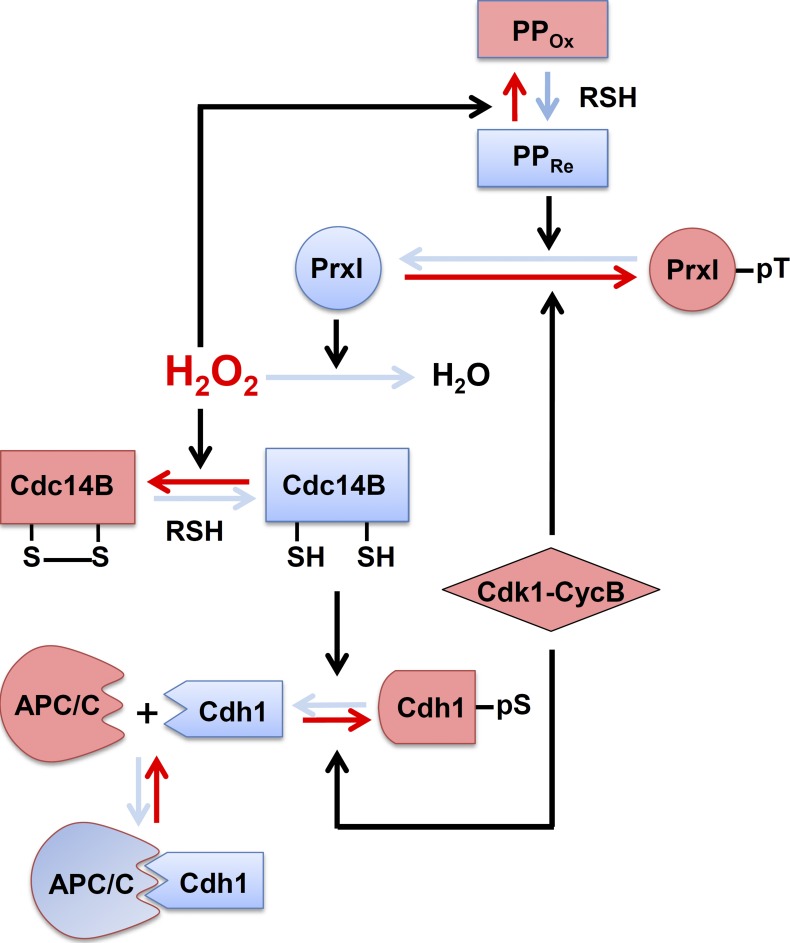 Figure 5.