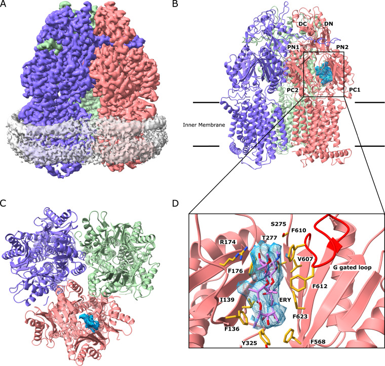 FIG 3