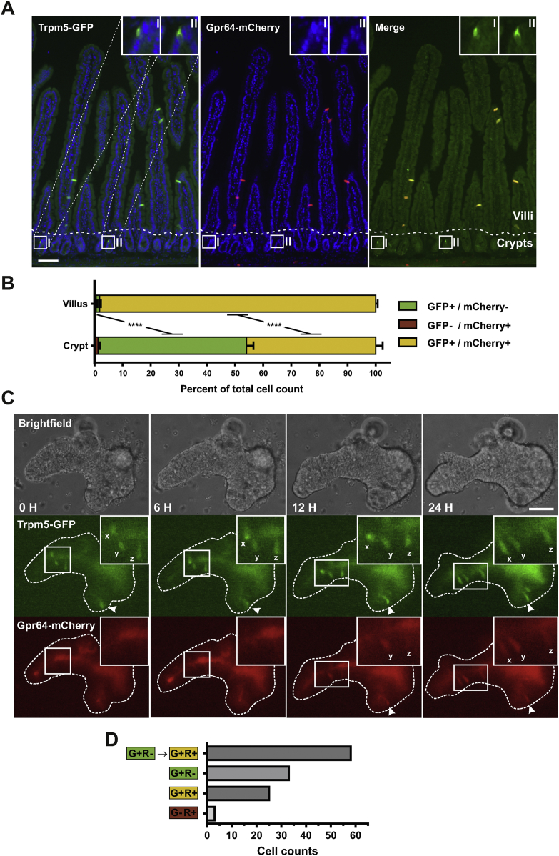 Figure 4