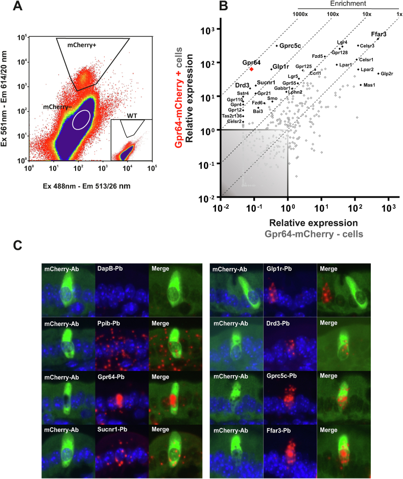 Figure 3